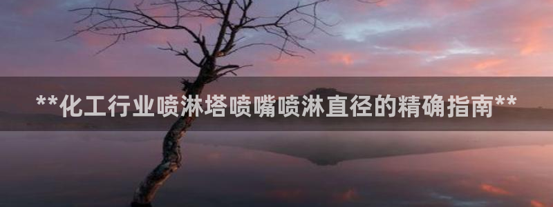 新城平台代理注册公司