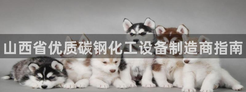 新城平台登录入口官网首页