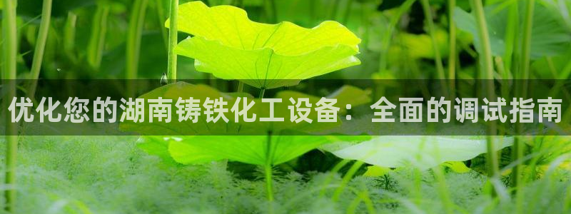 新城平台注册流程图