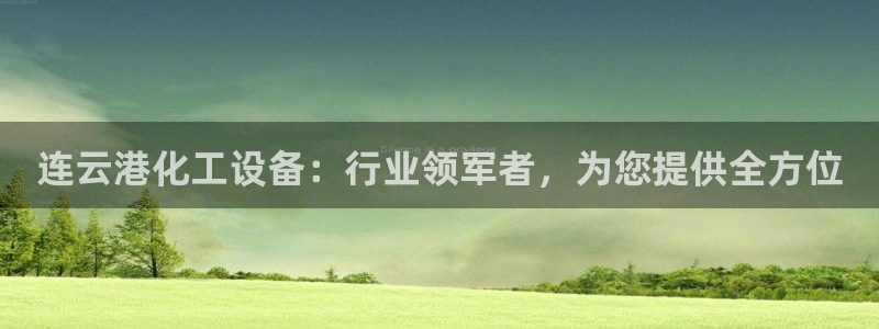 新城平台总代理是谁