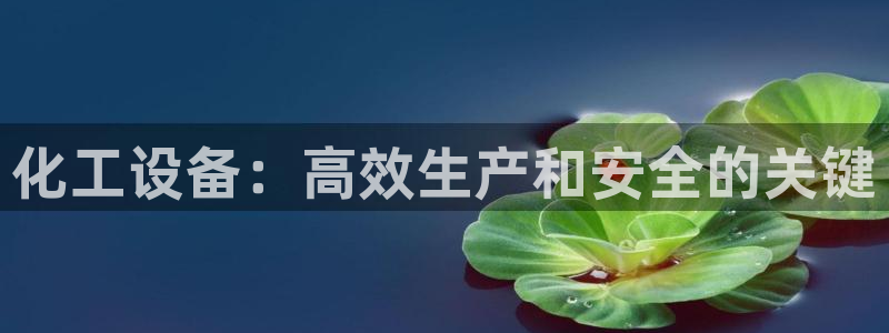 新城平台登录入口官网首页查询
