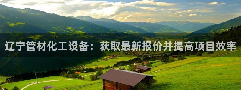 新城平台公司
