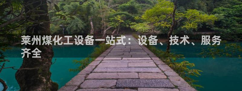 新城平台登录入口官网查询信息