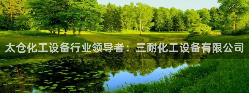 新城平台注册资金多少亿