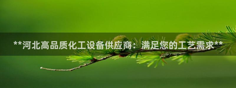 新城平台网址