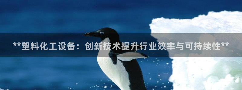 新城平台注册公司流程图