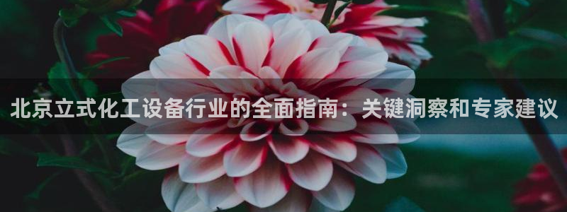 新城平台负责人