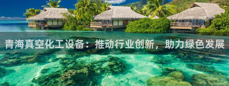 新城平台注册网址