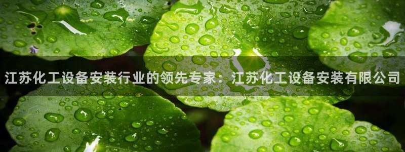 新城平台是正规平台吗