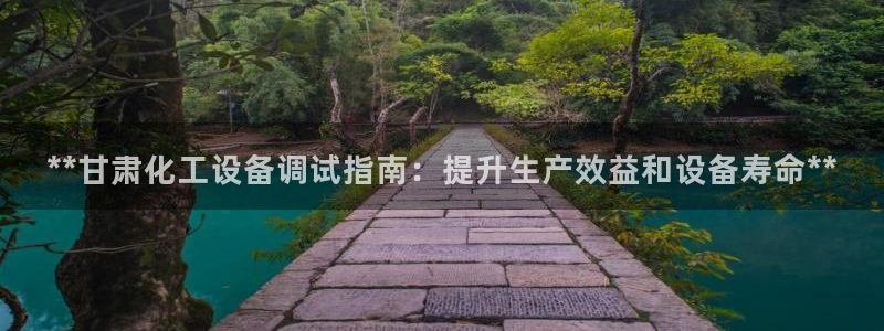 新城平台是干嘛的公司