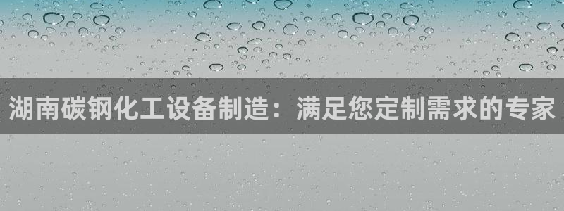 新城平台总代理是谁