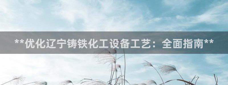 新城平台是干嘛的