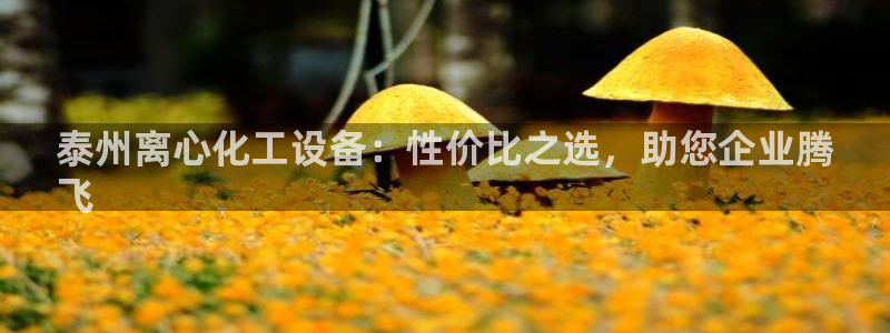 新城平台注册登录地址是什么