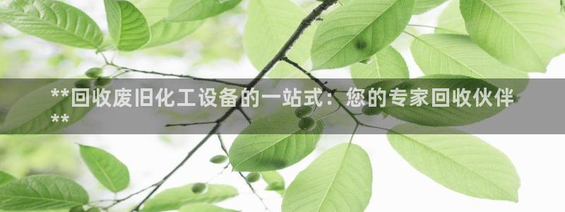 新城平台注册网址
