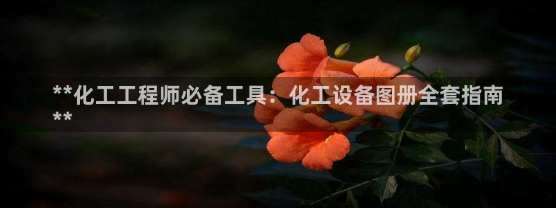 新城平台注册公司流程视频