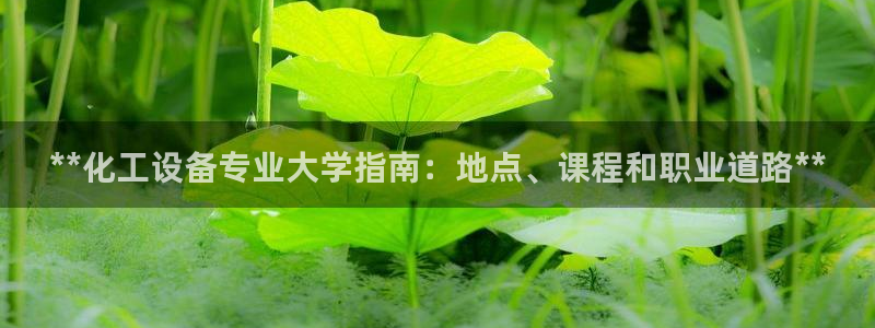 新城平台登录
