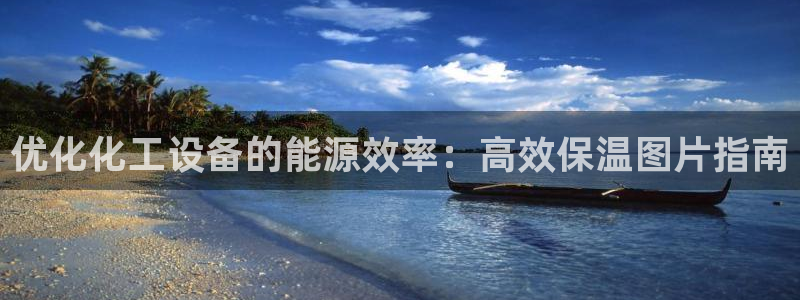 新城平台登录入口官网下载安装：优化化工设备的能源效