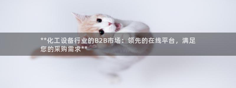 新城平台游戏