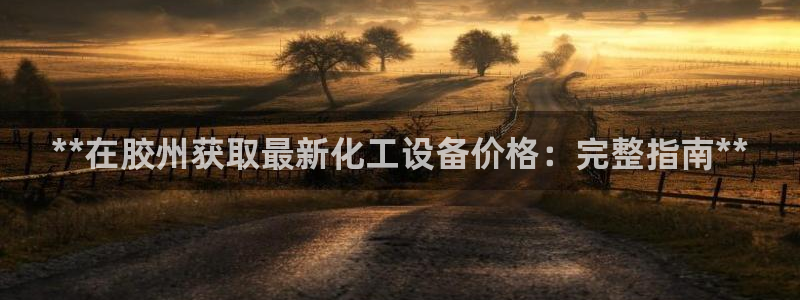 新城平台登录入口官网查询网址