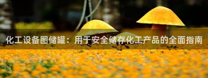 新城平台线路登录不上去怎么回事呀