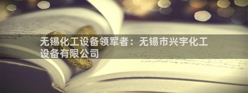 新城平台登录入口官网