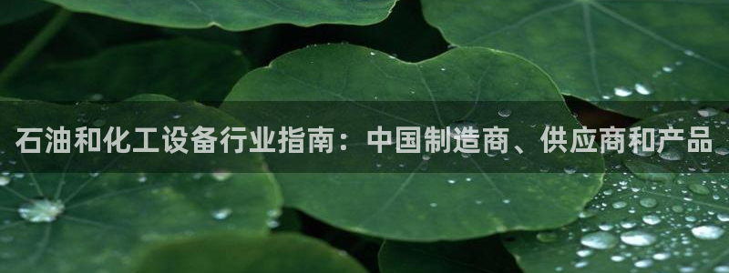 新城平台登录入口官网网址是什么