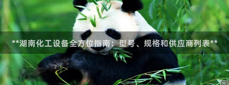 新城平台负责人是谁