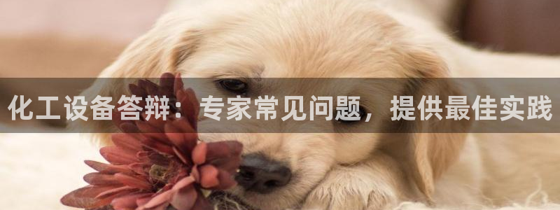新城平台在线登陆