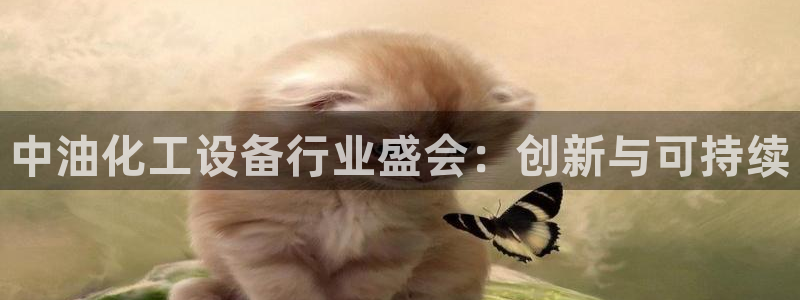 新城平台登录入口官网查询网址