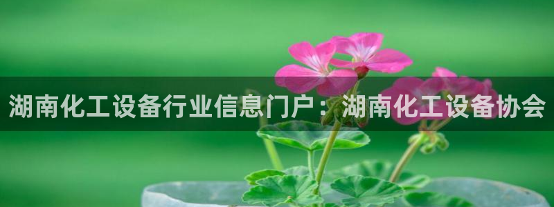新城平台分分彩：湖南化工设备行业信息门户：湖南化工