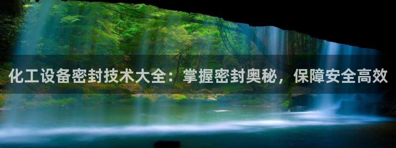 新城平台注册资金多少合适：化工设备密封技术大全：掌