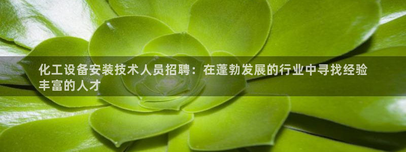 新城平台注册资金多少合适