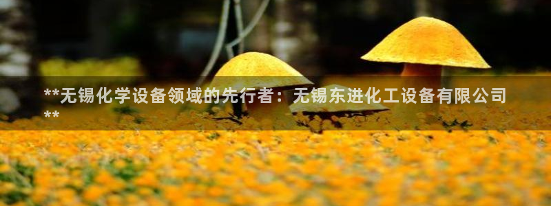 新城平台某7O777：**无锡化学设备领域的先行者