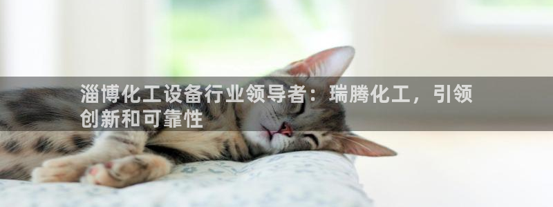 新城平台负责人名单