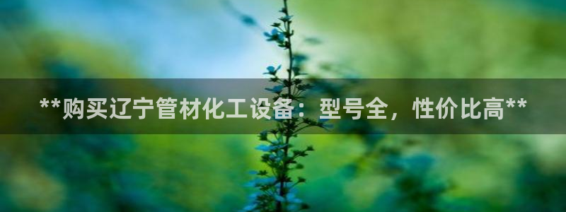 新城平台登录密码忘了怎么改