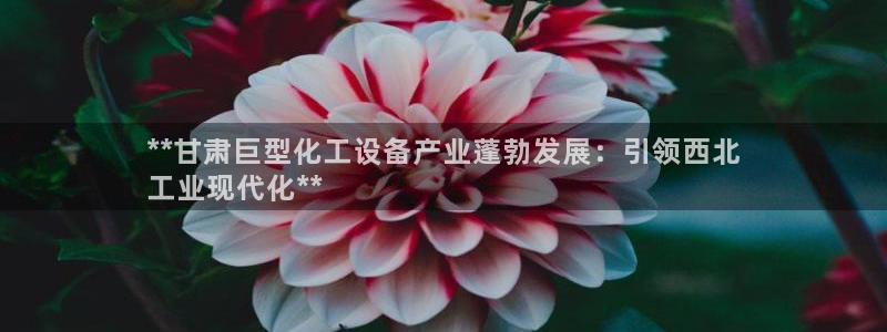 新城平台入.新城平台.全国联网是什么意思