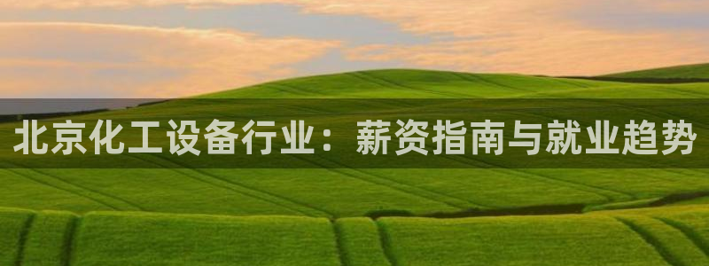 新城平台总代理是谁