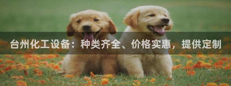新城平台企业信息查询