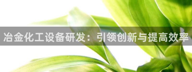 新城平台授权注册
