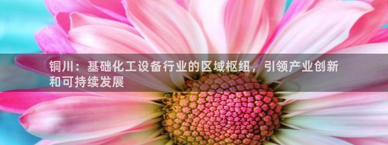 新城平台某7O777：铜川：基础化工设备行业的区域