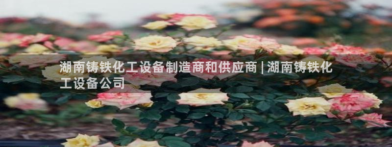 新城平台登录入口官网查询系统