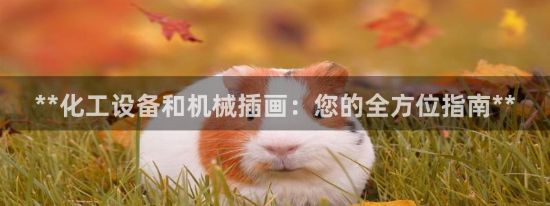 新城平台注册登录地址