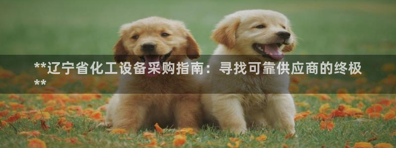 新城平台注册公司流程图