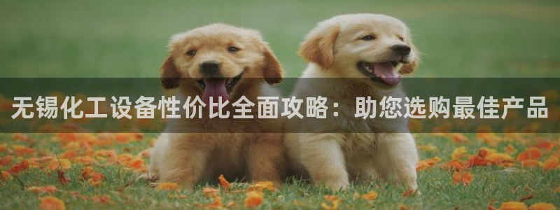 新城平台登录入口官网查询系统