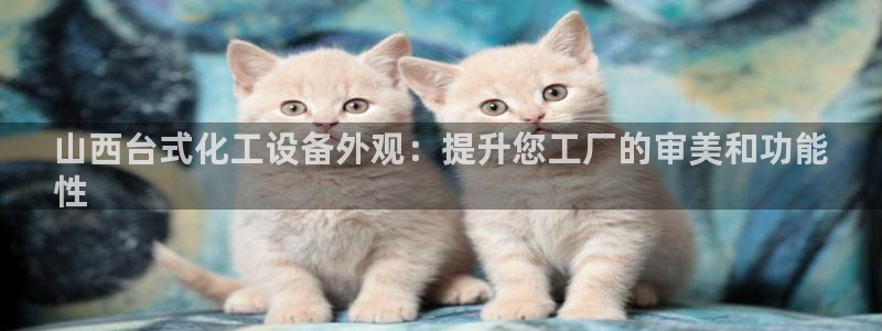 新城平台线路登录不上去了