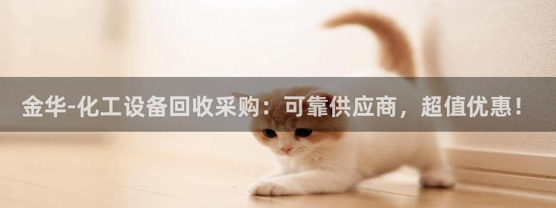 新城平台注册资金多少亿
