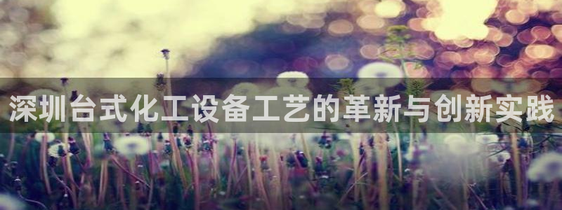 新城平台注册网址查询