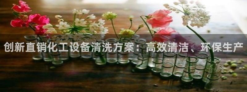 新城平台是干嘛的公司