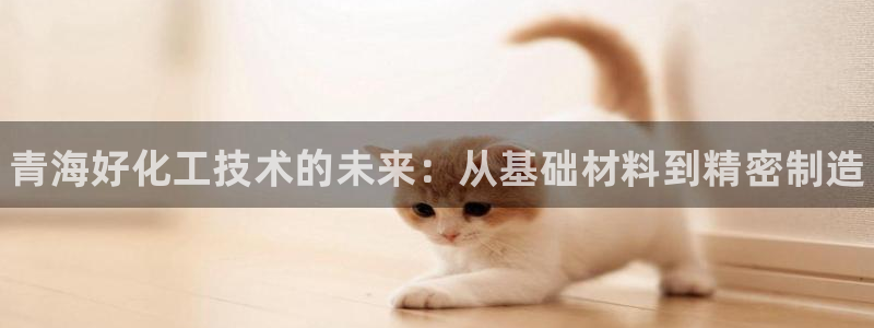 新城平台登录入口官网首页下载：青海好化工技术的未来