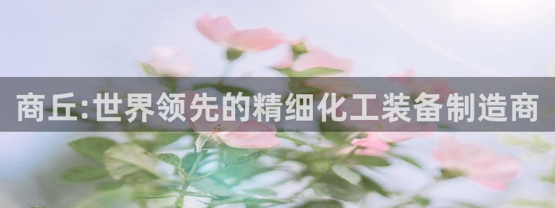 新城平台进.新城平台.稳定风险提示：商丘:世界领先的精细化工